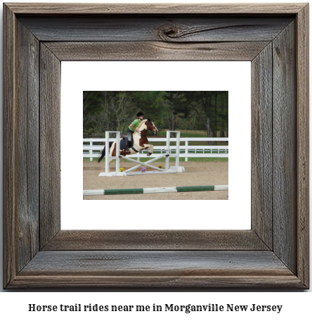 horse trail rides near me in Morganville, New Jersey